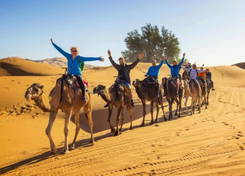 12 Days Totally Morocco Discovery Marrakech, The Sahara & Fes