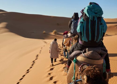 5 Days Morocco Desert in depth Explorer